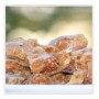 spicy-but-sweet-almond-brittle-sm